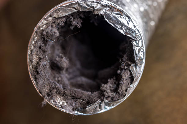 Best Affordable HVAC Duct Cleaning  in Norwich, CT